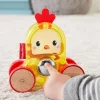 Fisher-Price Változatos anyagok guruló állat csibe