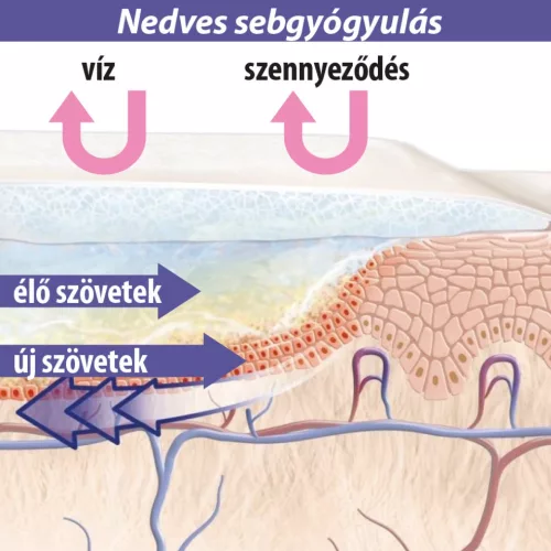 Lansinoh bimbóvédő balzsam 60ml