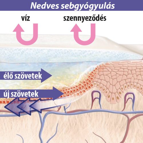 Lansinoh Organikus bimbóvédő balzsam 60ml