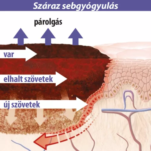 Lansinoh bimbóvédő balzsam 60ml