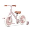 Lorelli Energy tricikli 2 az 1 ben - Pink