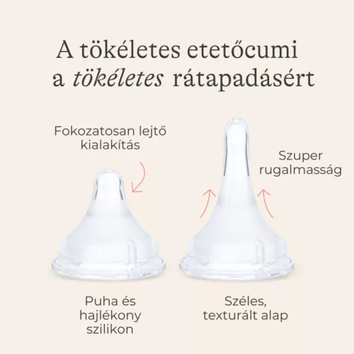 Lansinoh 2 db cumisüveg lassú folyású etetőcumival + 2 db fedéllel, 160 ml