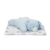 Lorelli Poffy Duo takaró 75x90 cm párnával 45x30 cm - White Blue Teddy Bear