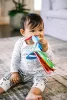 Baby Einstein Rágóka/könyv Curious Explorers ™, 0 hó+