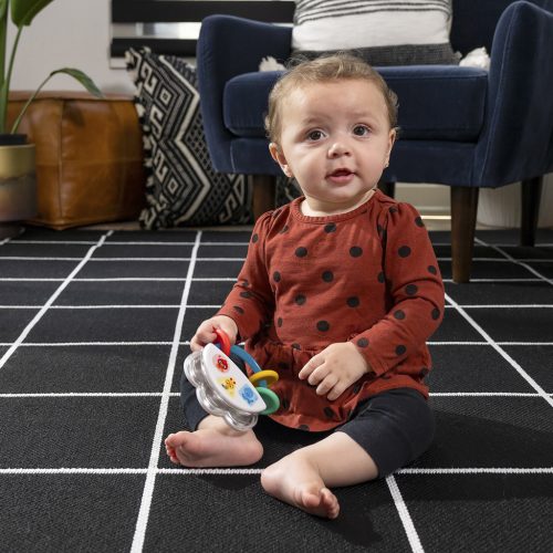 Baby Einstein Tamburin csörgővel, 3 hó+