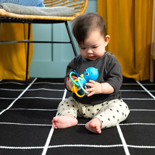 Baby Einstein Rágóka/csörgő Opus’s Shake & Soothe™, 0 hó+