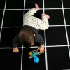 Baby Einstein Rágóka/csörgő Opus’s Shake & Soothe™, 0 hó+