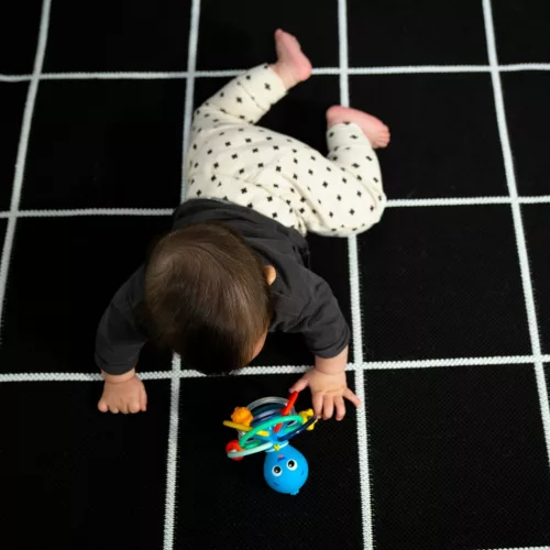 Baby Einstein Rágóka/csörgő Opus’s Shake & Soothe™, 0 hó+
