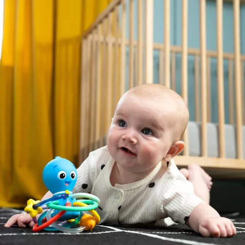 Baby Einstein Rágóka/csörgő Opus’s Shake & Soothe™, 0 hó+