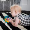 Oball Autó és csörgő, 2in1 Curious Car, teknős, Neptune™, 3 hó+