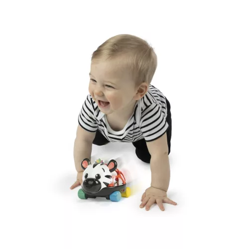 OBALL Autó és csörgő, 2in1 Curious Car, zebra, Zen™, 3 hó+