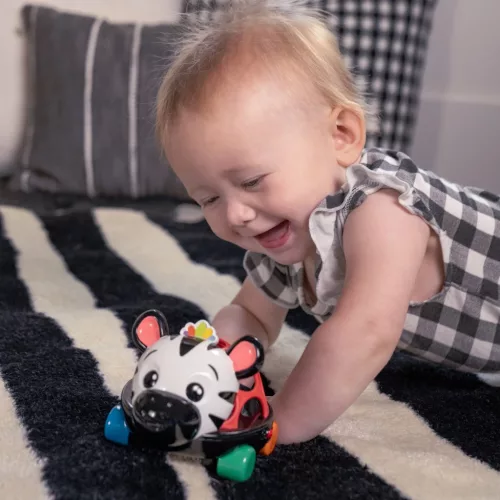 OBALL Autó és csörgő, 2in1 Curious Car, zebra, Zen™, 3 hó+