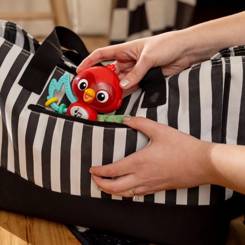 BABY EINSTEIN Zenélő érzékszervi játék Roxy's Bright Flight™ - 3hó+