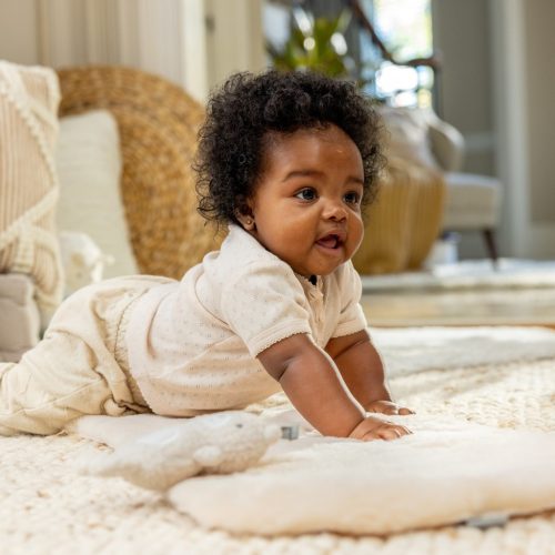 INGENUITY Átalakítható rezgő hinta dallamokkal, Every Season™ Chic Boutique™,​ 0 hó+, 9 kg-ig