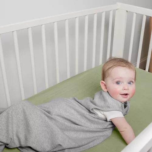 INGENUITY Alvózsák pamut TOG 2,5 SwaddleMe™ Flock 3m+