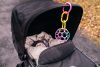 OBALL Játék Oball™ Classic 10 cm rózsaszín/lila 0hó+AQUAINT 50 ml
