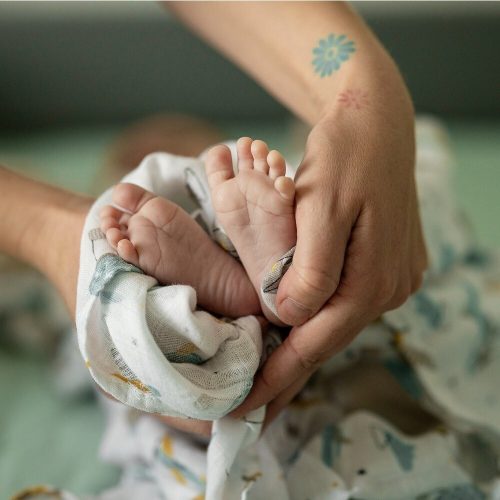 Petite&Mars Bambusz muszlin 2db-os pelenka szett Misty Forest Fox 120 x 120 cm