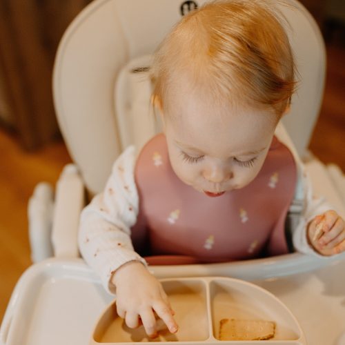 Petite&Mars Szilikon előke, Take&Match, 6 hó+, Rose Princesses