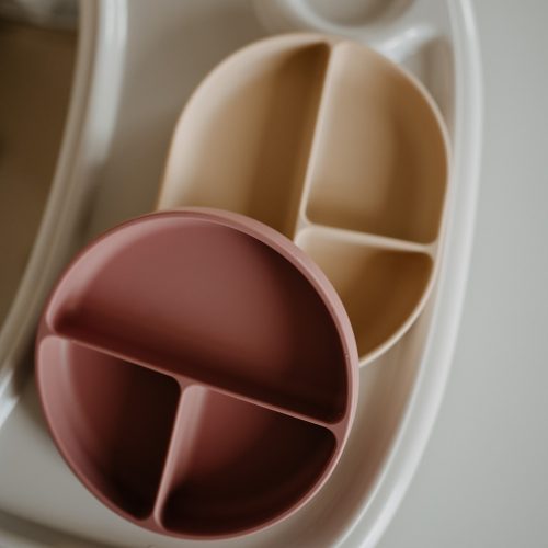 Petite&Mars Szilikon osztott kerek tányér, Take&Match, Misty Green, 6 hó+