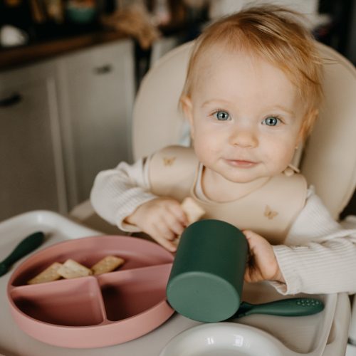 Petite&Mars Szilikon osztott kerek tányér, Take&Match, Dusty Rose, 6 hó+