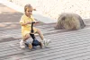 Qplay Sema Evo roller 3az1ben 1-6 éves kor 50 kg-ig - Coral Pink