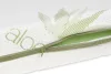 BABYMATEX Flora matrac 120x60x10