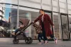 EASYWALKER Kombinált babakocsi Zoey Chestnut Brown + CYBEX Aton B2 i-Size + bázis