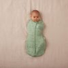 ERGOPOUCH Bebújós és alvózsák 2 az 1-ben Cocoon Willow 3-6 h, 6-8 kg, 2,5 tog