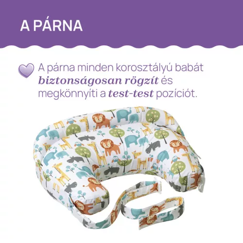 Chicco Boppy Deluxe szoptatós párna formatartó töltettel - rózsaszín