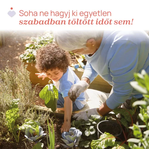 Chicco Illatosított szilikon karkötő 5 db citronella olajjal