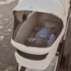 Chicco Flexi mózeskosár csak szettben kapható a Bellagio babakocsihoz Kory Plus hordozóval