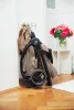 Britax Römer Rio Style babakocsi - Carbon Black