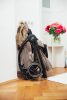 Britax Römer Rio Lux babakocsi - Soft Taupe