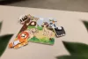 Zopa Fa Montessori puzzle Wood