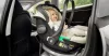 Zopa XM Plus i-Size babahordozó - Ivory Beige