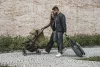 Zopa Jet sport babakocsi  Kodi Bronze