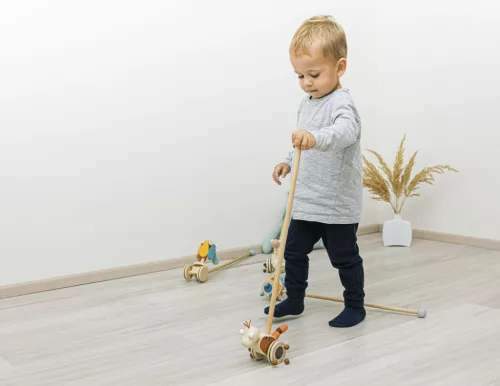 Zopa Fa tolható dinoszaurusz - Green
