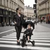 Zopa X Trike Pro - Kodi Bronze