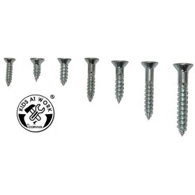   Kids at Work Facsavar készlet különböző horganyzott facsavarokkal