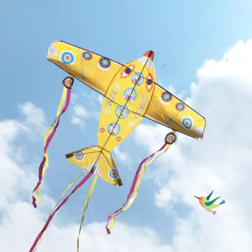 Djeco Szélsárkány Óriás repülő - Maxi Plane