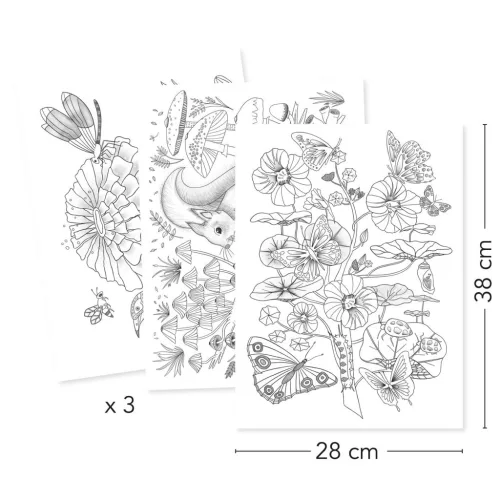Djeco Művészeti műhely, Természetes színezők mappa, Naturalist