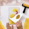 AGA Műterem 46 Gélnyomtatás Színtár - Atelier 46 Gel Printing