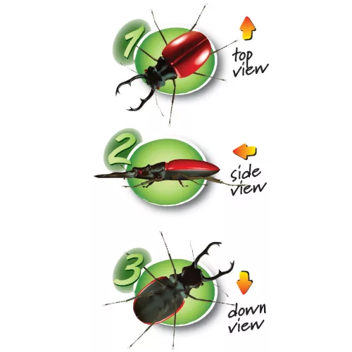 Navir Három nézőszögű bogárvizsgáló - Triple Bug Viewer 3 way