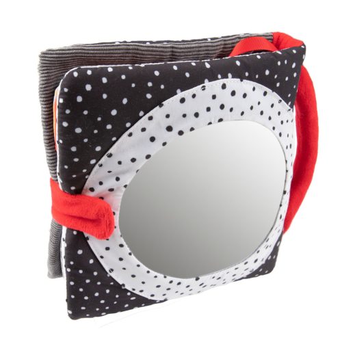 Canpol babies Fejlesztőkönyv, BabiesBoo - PANDA