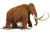 Wow puzzle junior 100 Darab - gyapjas mamut
