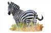 WOW Puzzle 1000 db - Zebra