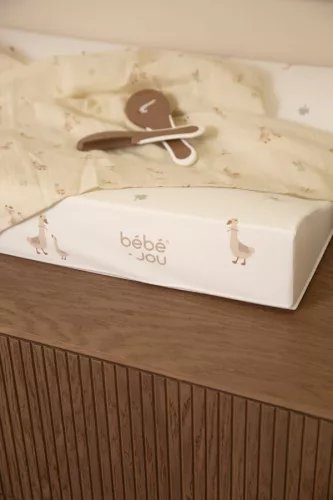 Bébé-Jou Hajkefe és fésű természetes sörtével - Dear Goose