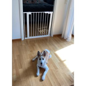   DogSpace Lassie nyomás rögzítő kapu rács kutyáknak 73-80cm - fehér