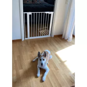   DogSpace Lassie nyomás rögzítő kapu rács kutyáknak 73-80cm - fehér