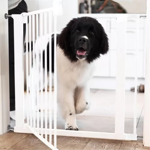 DogSpace Lassie nyomás rögzítő kapu rács kutyáknak 73-80cm - fehér